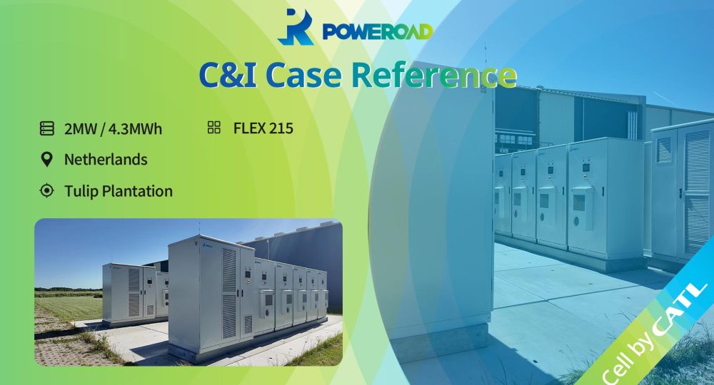 Agriculture ESS Project Sustainable Energy Solutions for the Dutch Tulip Industry